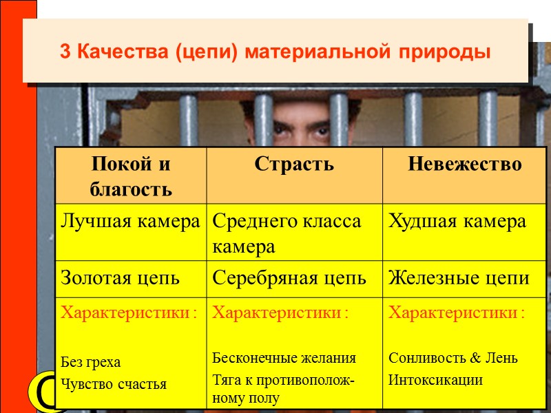 3 Качества (цепи) материальной природы C